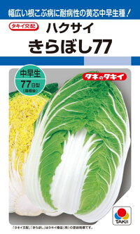 タキイ種苗 ハクサイ 白菜 きらぼし77 ペレット L5000粒|種苗・園芸ショップ 種もり
