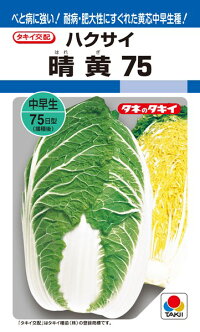 タキイ種苗 ハクサイ 白菜 晴黄75 ペレット L5000粒｜種苗・園芸ショップ 種もり