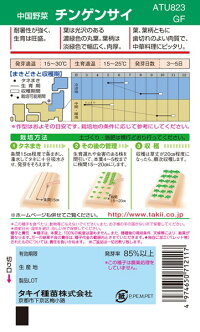 楽天市場 タキイ種苗 中国野菜 チンゲンサイ 青梗菜 1l 種苗 園芸ショップ 種もり