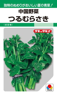 新鮮 つるむらさき 14キロ 楽天市場】タキイ種苗 中国野菜 つるむらさき（緑茎種）MF