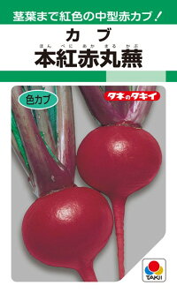 赤かぶ 正規品 Stage6純正キャブ対応パワーフィルター赤スーパーディオ