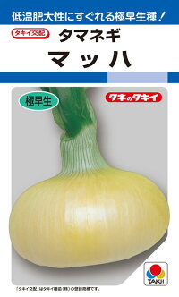 タキイ種苗 玉ねぎ 玉ねぎ マッハ 2デシリットル