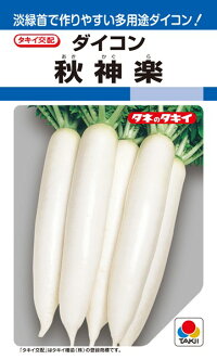 タキイ種苗 清白 大根役者 秋神楽 ペレット 3L 5000粒