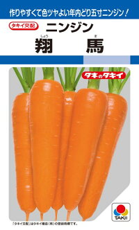 タキイ種苗 ニンジン 人参 翔馬 ペレット L 1万粒