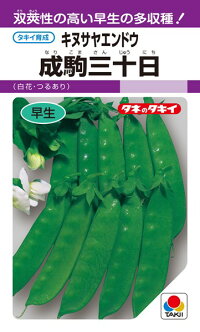 タキイ種苗 エンドウ 成駒三十日 1L