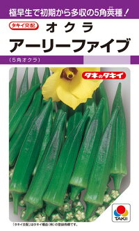 タキイ種苗 ガンボ アーリーファイブ 1万粒 ガーデニング・農業-花・ガーデン・DIY-種子