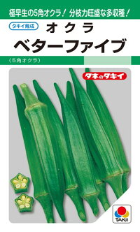 タキイ種苗 ガンボ もっと良いファイブ 1万粒