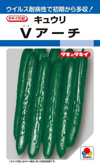 タキイ種苗 キュウリ 胡瓜 Vアーチ 350粒