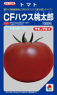 タキイ種苗 トマト CFハウス桃太郎 ペレット 2L 1000粒