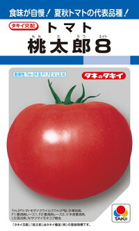 タキイ種苗 トマト 桃太郎8 1000粒