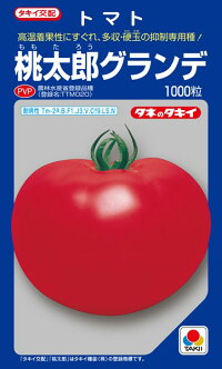 タキイ種苗 トマト 桃太郎グランデ ペレット 2L 1000粒 PVP｜種苗・園芸ショップ 種もり