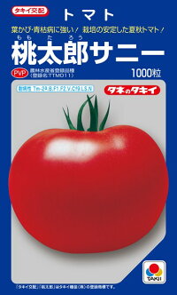 タキイ種苗 トマト 桃太郎サニー 1000粒 PVP