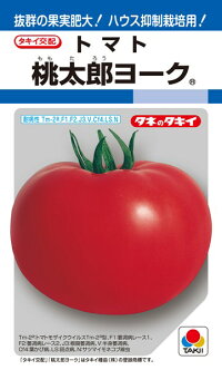 タキイ種苗 トマト 桃太郎ヨーク 1000粒