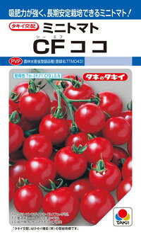 タキイ種苗 トマト CFココ 1000粒|種苗・園芸ショップ 種もり