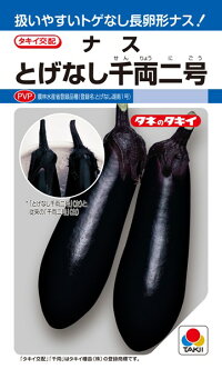 タキイ種苗 ナス 茄子 とげなし千両二号 1000粒　PVP