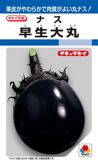 タキイ種苗 茄子 茄 早生大丸 2000粒