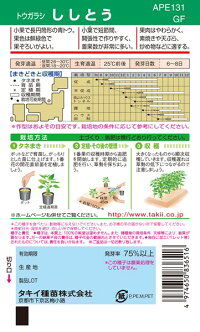 楽天市場 タキイ種苗 トウガラシ 唐辛子 ししとう Gf 種苗 園芸ショップ 種もり