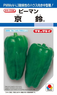 タキイ種苗 ピーマン 京鈴 1000粒