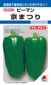 タキイ種苗 ピーマン 京まつり 1000粒