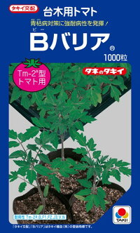 タキイ種苗 台木 赤茄子用 B関所 ペレット 2L 1000粒