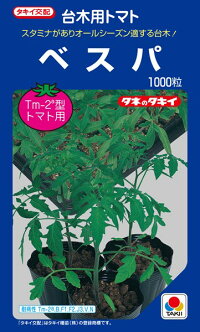 タキイ種苗 台木 赤茄子用 ベスパ 1000粒