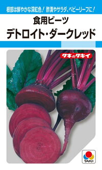 タキイ種苗 食用ビーツ 自動車の街・暗然たる赤いこと 1L