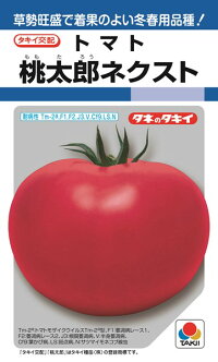 タキイ種苗 赤ナス 桃太郎ネクスト ペレット 2L 1000粒 種子-ガーデニング・農業-野菜の種子