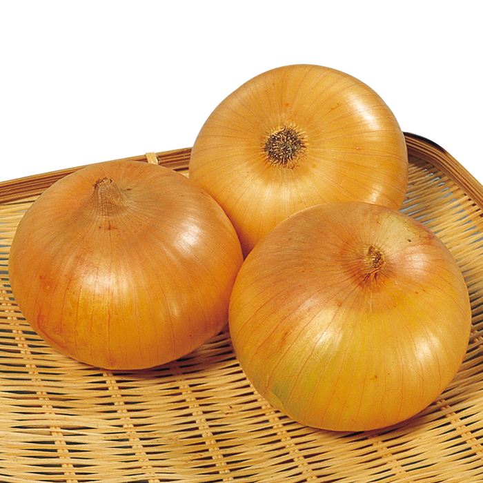 サカタのタネ 玉ねぎ 玉ねぎ 泉州中高黄 2デシリットル