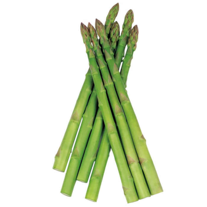 楽天市場】【種子】アスパラガス ゼンユウガリバー 100粒 サナテック