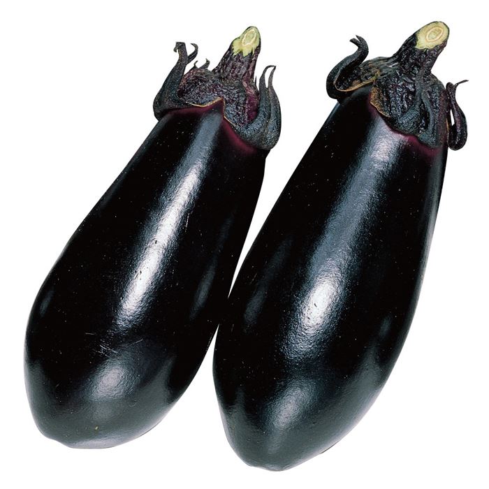サカタのタネ ナス 茄子 黒福 20ml