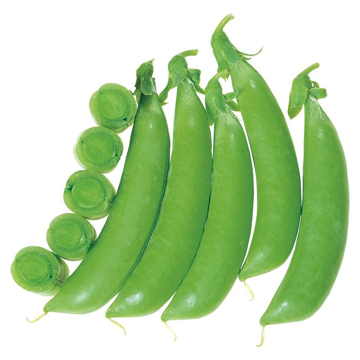 サカタのタネ エンドウ ホルンスナック 1L