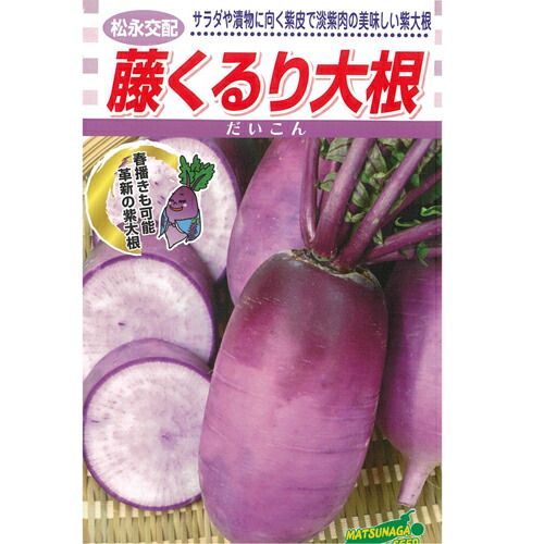 松永種苗  清白 大根役者 だいこん 藤くるり 厚地の外套5000粒