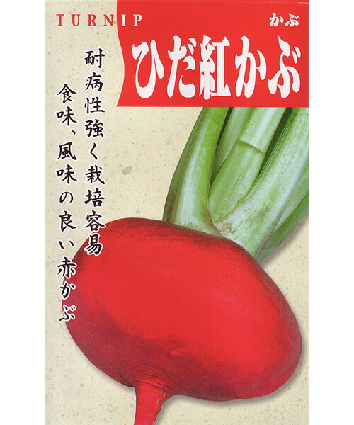 松永種苗 少年 かぶ 蕪 飛騨紅蕪 10L