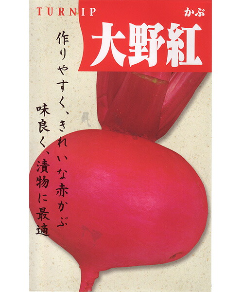 松永種苗 少年 かぶ 蕪 大野紅蕪 10L