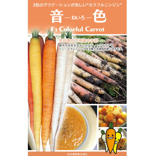 松永種苗  人蔘 にんじん 人蔘 声遣い 厚地の外套1万粒