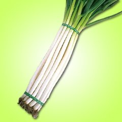 松永種苗 ネギ 松永種苗 ネギ ねぎ 葱　越津葱　1L