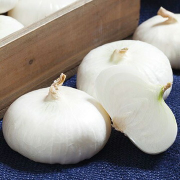 楽天市場】松永種苗 タマネギ 早生玉葱 ラムダ2号 小袋 : 種苗・園芸