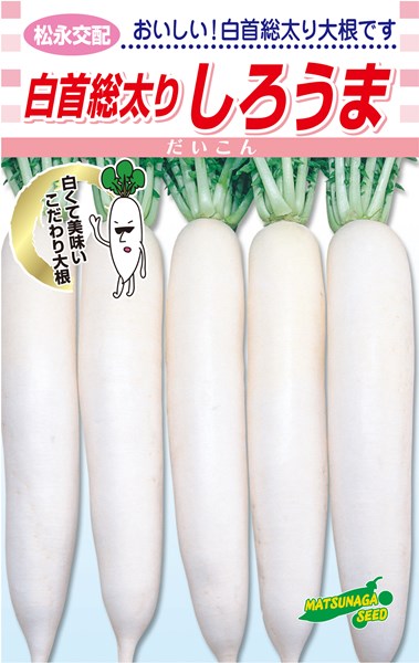 だいこん商品 楽天市場】松永種苗 ダイコン 大根 白首総太り しろうま 小袋