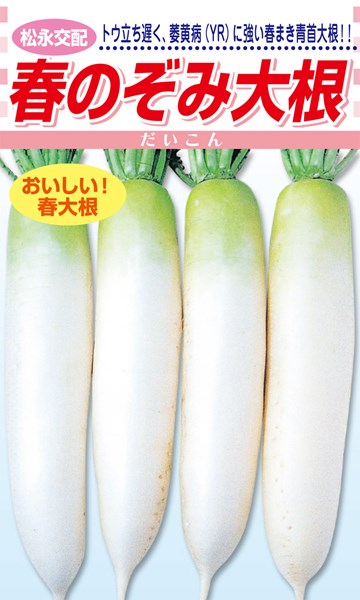 松永種苗 蘿蔔 大根役者 春のぞみ 2デシリットル 花・ガーデン・DIY-種子-野菜の種子