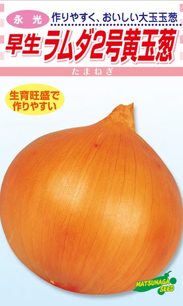 楽天市場】ナント種苗 タマネギ ジェットスター玉葱(早生タイプ