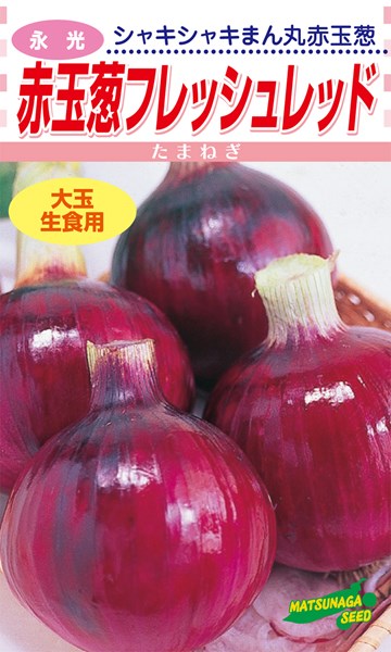 松永種苗 玉ねぎ 赤玉ねぎ 生新しい赤いこと 2L厚地の外套 1万粒