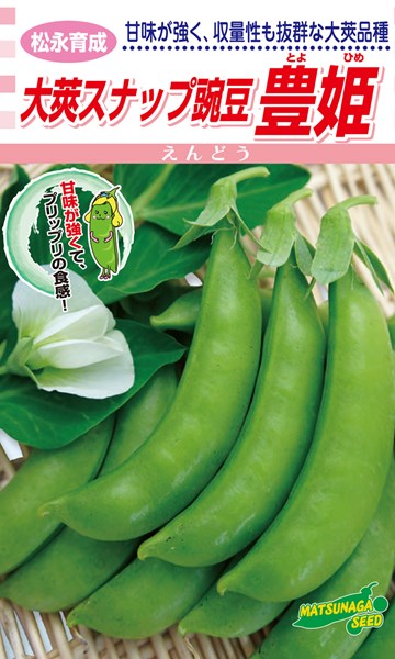松永種苗 エンドウ 大莢隙間豌豆 豊姫 1L