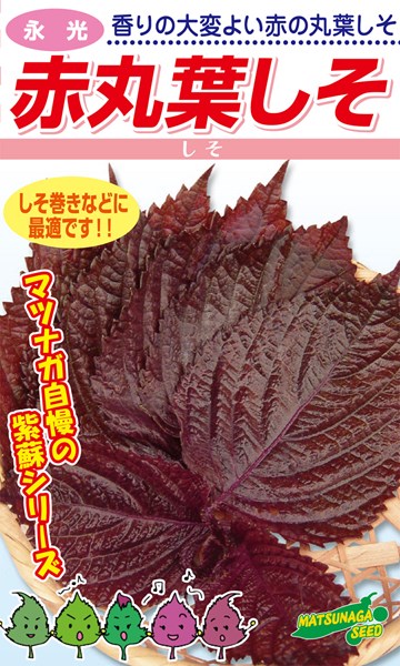 松永種苗 シソ 紫蘇 赤丸葉しそ 1L