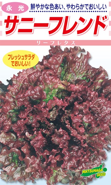 松永種苗 萵苣 小僧仲良し 2デシリットル