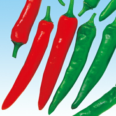 楽天市場】【造花・夏】赤とうがらし・青とうがらし / トウガラシ