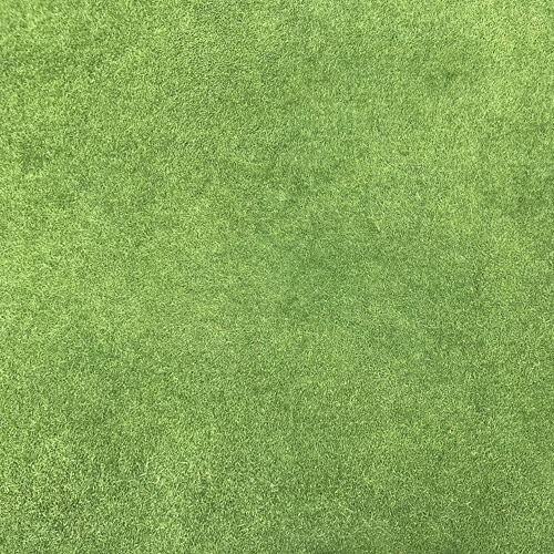 雪印種苗   芝 草藁 緑肥用   CY-4/シーワイフォー 1kg