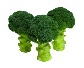 雪印種苗 ブロッコリー ドームツリー