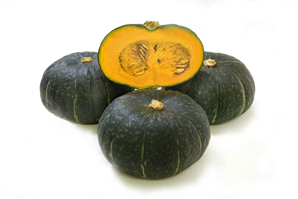 楽天市場】朝日アグリ カボチャ 南瓜 かぼちゃ マロンスター157