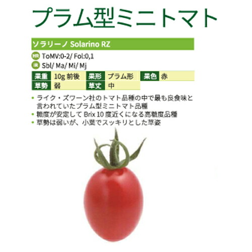 朝日アグリ ミニ 赤茄子 とまと ソラリーノ 1000粒
