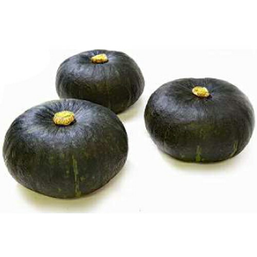 楽天市場】朝日アグリ カボチャ 南瓜 かぼちゃ マロンスター157